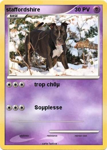 Pokemon staffordshire