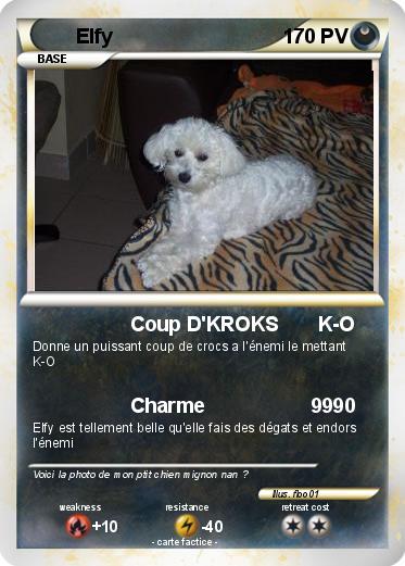 Pokemon Elfy