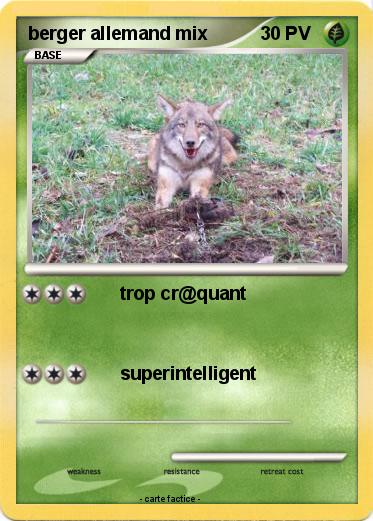 Pokemon berger allemand mix