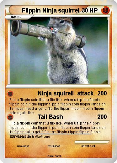 Pokemon Flippin Ninja squirrel