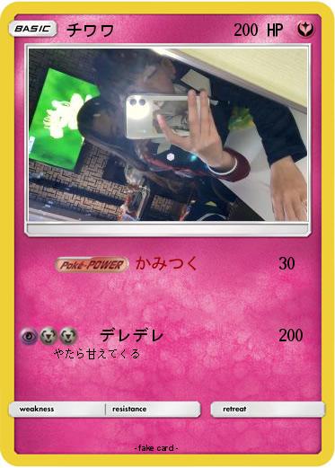 Pokemon チワワ