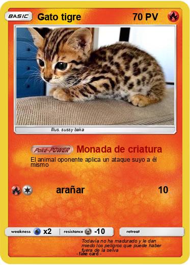 Pokemon Gato tigre