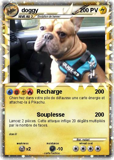 Pokemon doggy