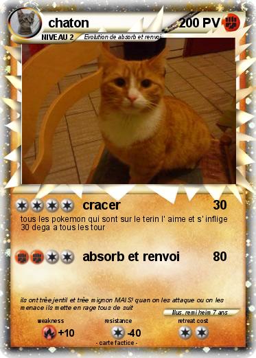 Pokemon chaton