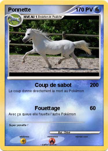 Pokemon Ponnette