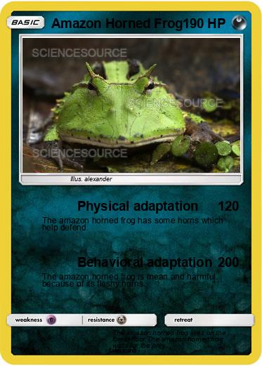 Pokemon Amazon Horned Frog