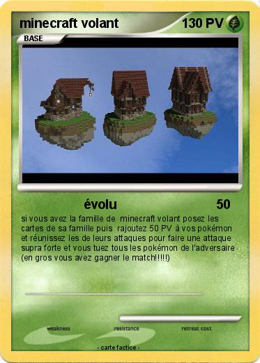 Pokemon minecraft volant