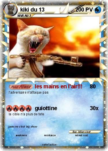 Pokemon kiki du 13