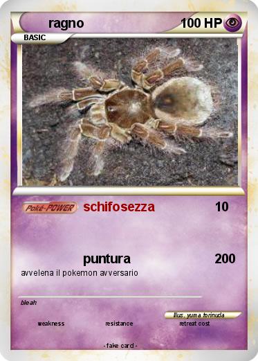 Pokemon ragno
