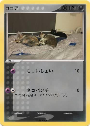 Pokemon ココア