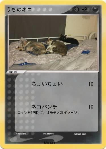 Pokemon うちのネコ