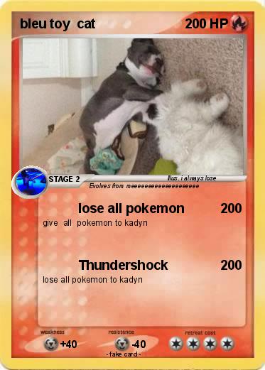 Pokemon bleu toy  cat