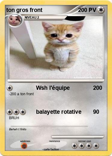 Pokemon ton gros front