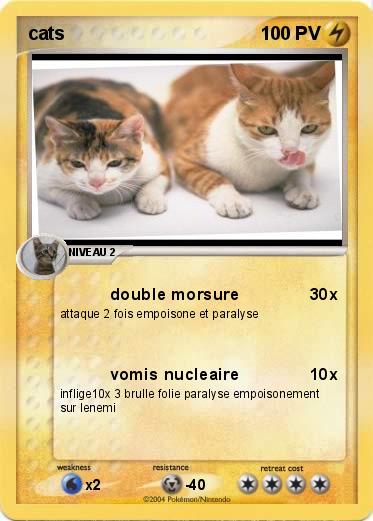 Pokemon cats