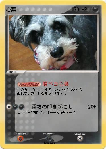 Pokemon 心葉