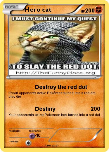 Pokemon Hero cat