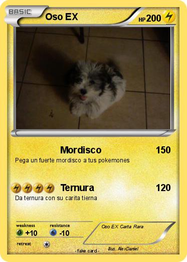 Pokemon Oso EX
