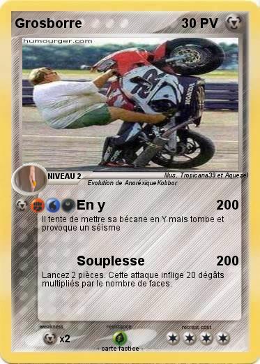 Pokemon Grosborre