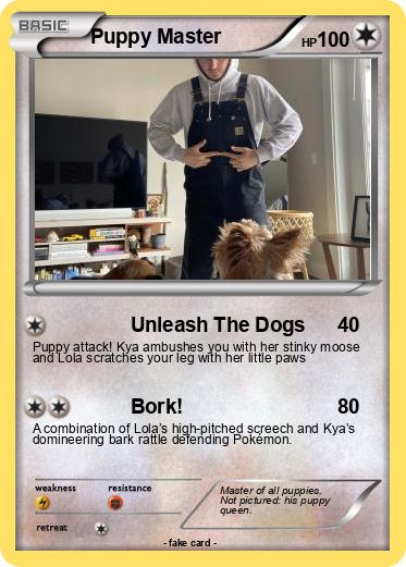 Pokemon Puppy Master