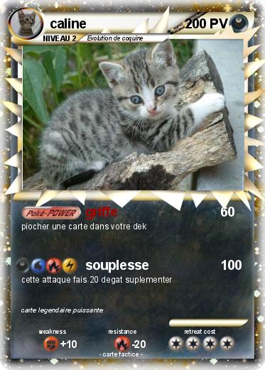 Pokemon caline