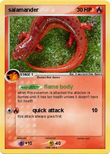 Pokemon salamander
