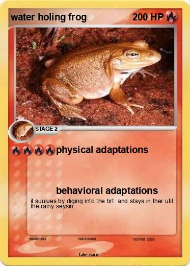 Pokemon water holing frog