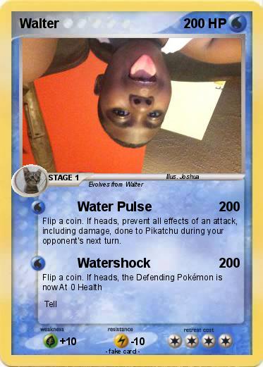 Pokemon Walter
