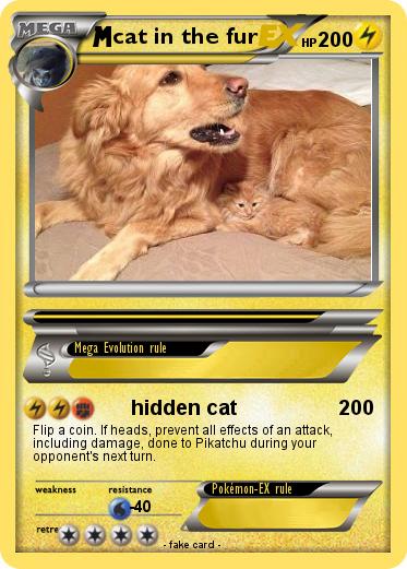 Pokemon cat in the fur