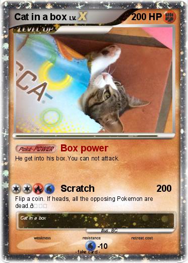 Pokemon Cat in a box