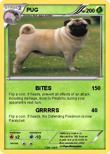 Pokemon PUG