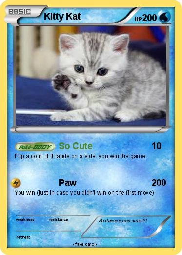Pokemon Kitty Kat