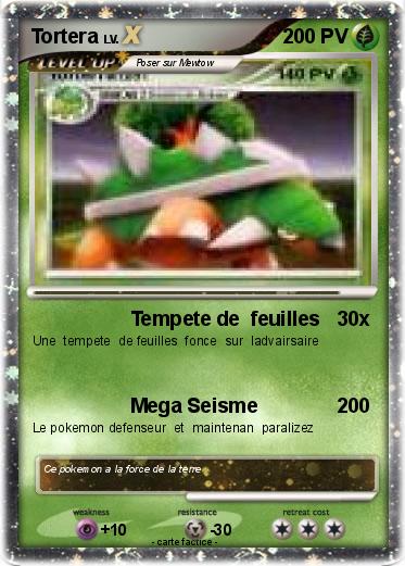 Pokemon Tortera