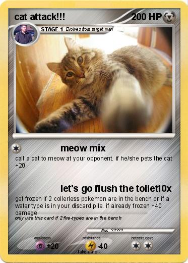 Pokemon cat attack!!!