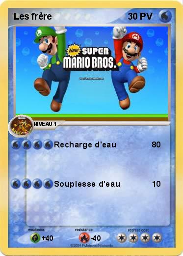 Pokemon Les frère 