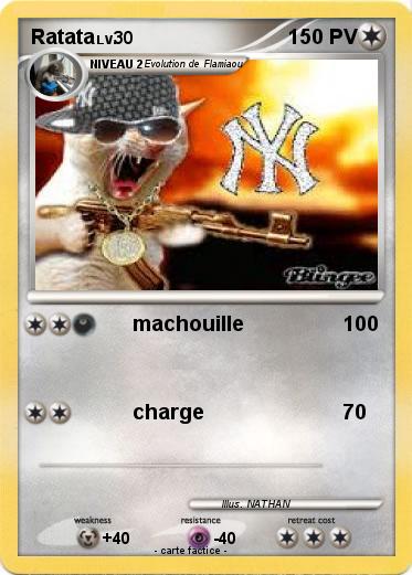 Pokemon Ratata