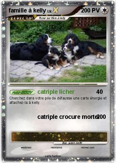 Pokemon famille à kelly
