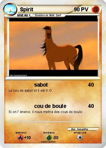Pokemon Spirit