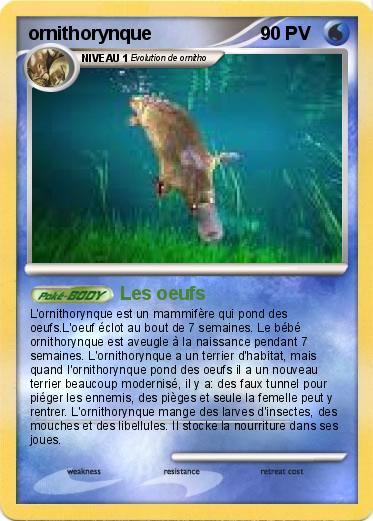 Pokemon ornithorynque