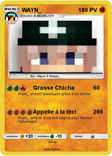 Pokemon WAYN_
