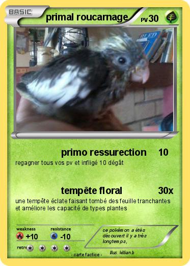 Pokemon primal roucarnage