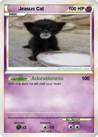 Pokemon Jeasus Cat