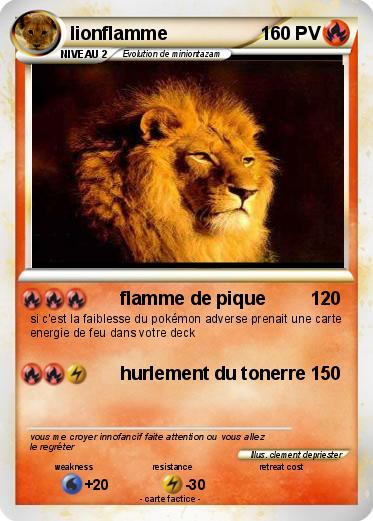 Pokemon lionflamme
