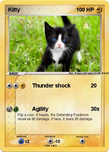 Pokemon Kitty