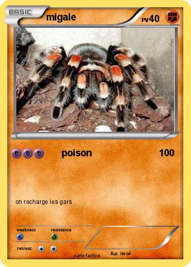 Pokemon migale