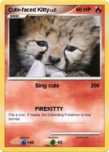 Pokemon Cute-faced Kitty