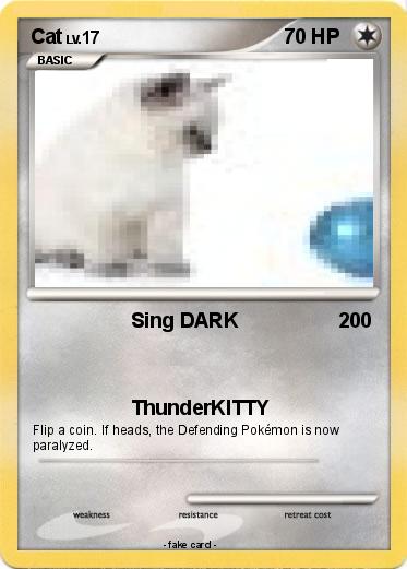 Pokemon Cat