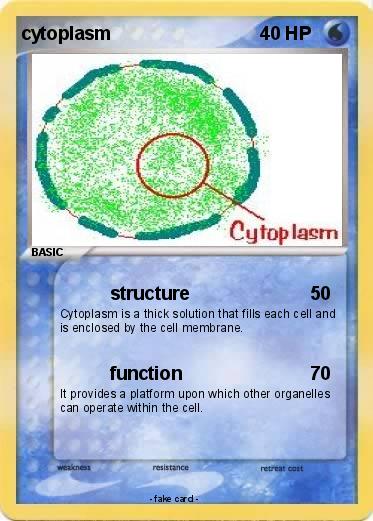 Pokemon cytoplasm