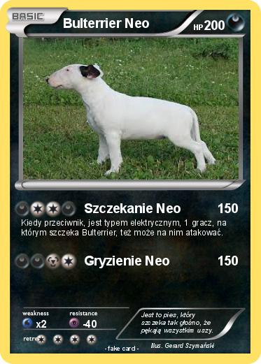 Pokemon Bulterrier Neo