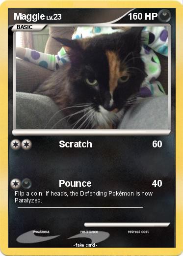 Pokemon Maggie