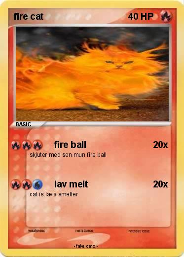 Pokemon fire cat